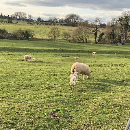 Weatherhead Farm Shepherds Hut Vila Buckingham Exterior foto