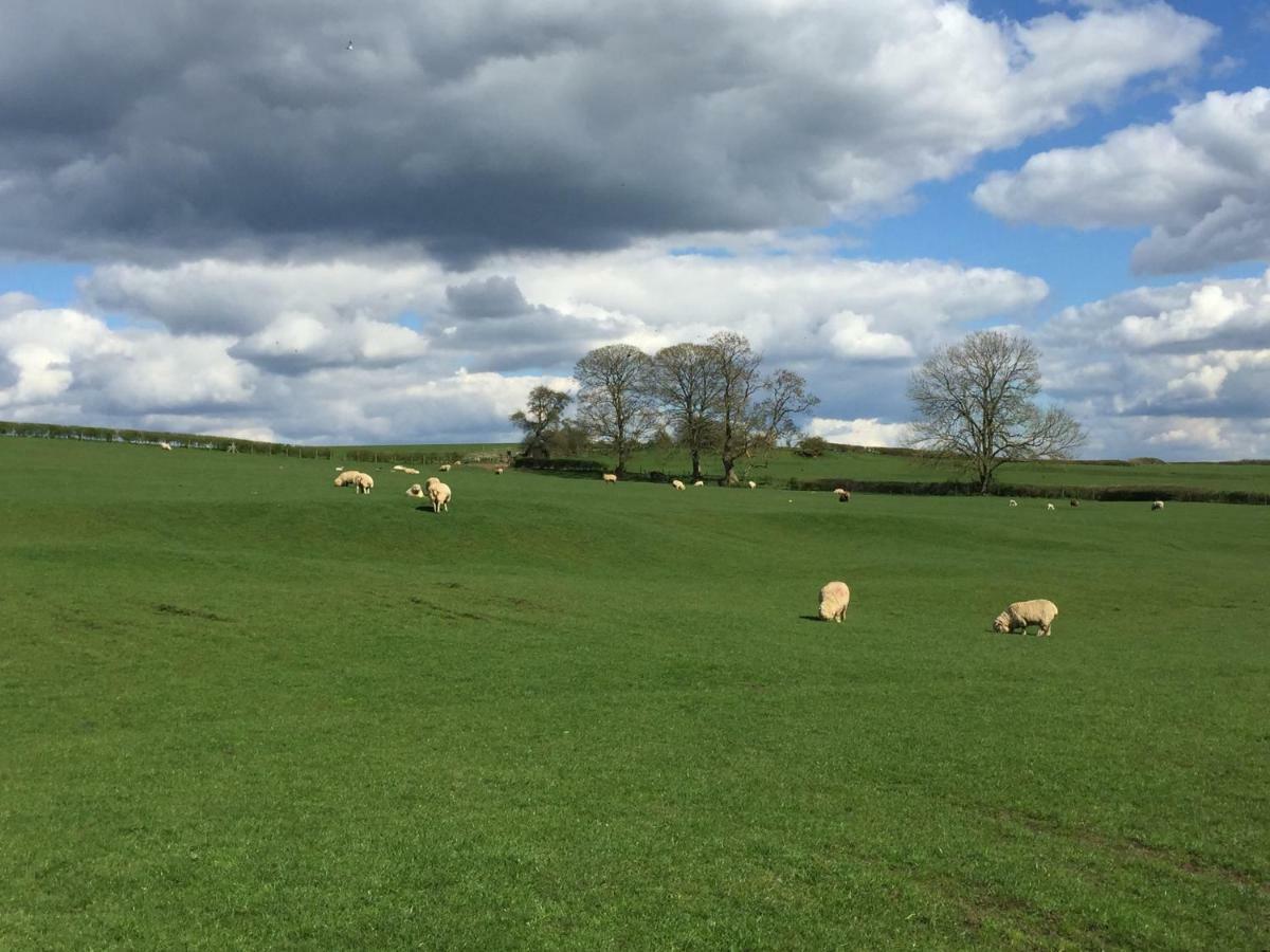 Weatherhead Farm Shepherds Hut Vila Buckingham Exterior foto